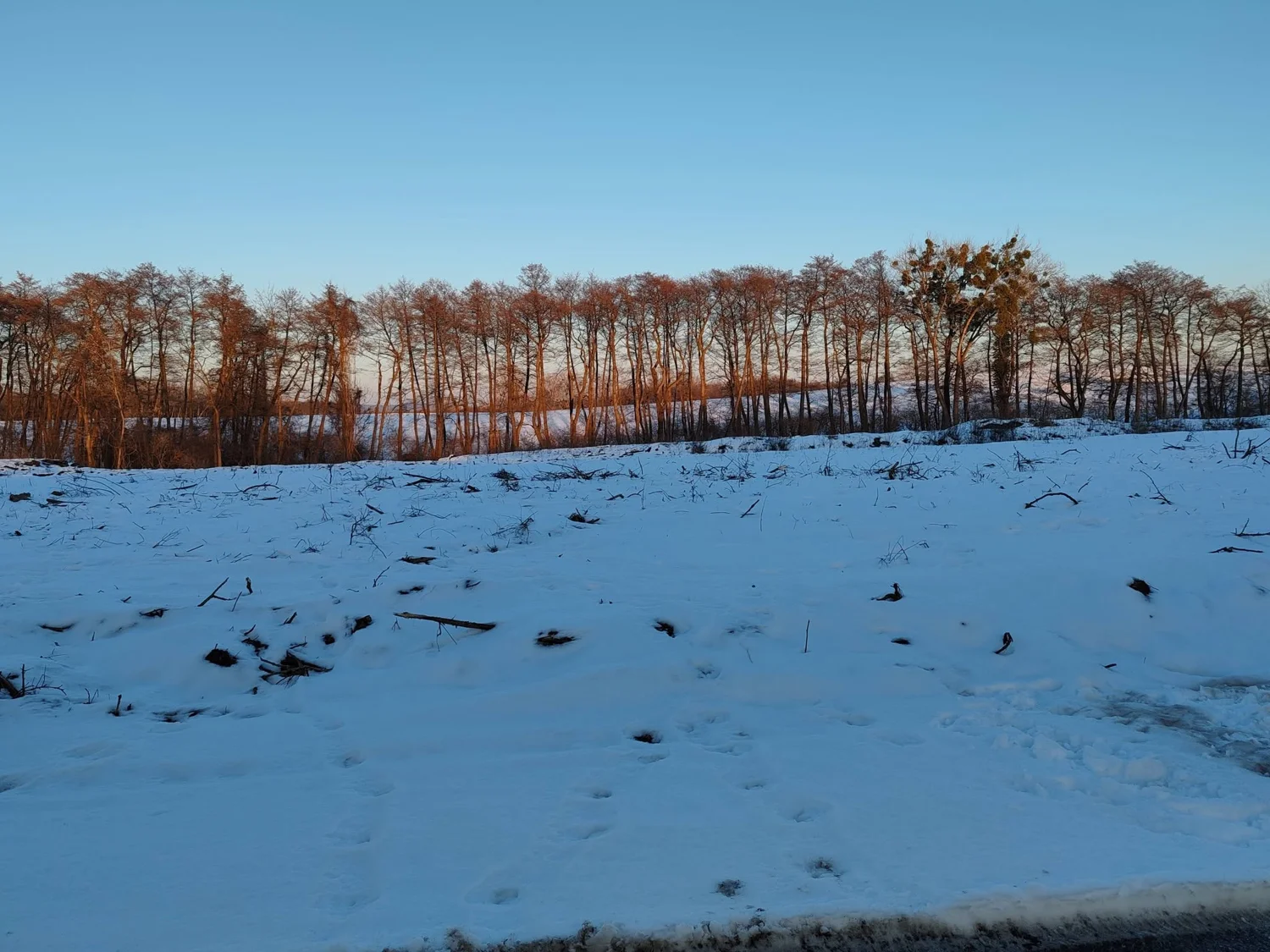 Új napelempark építkezése – helyszíni munkafotó
